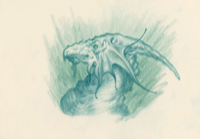 Dragons, Beasts, Creatures 63